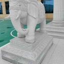 南京 白麻花岗岩动物异形石雕-大象