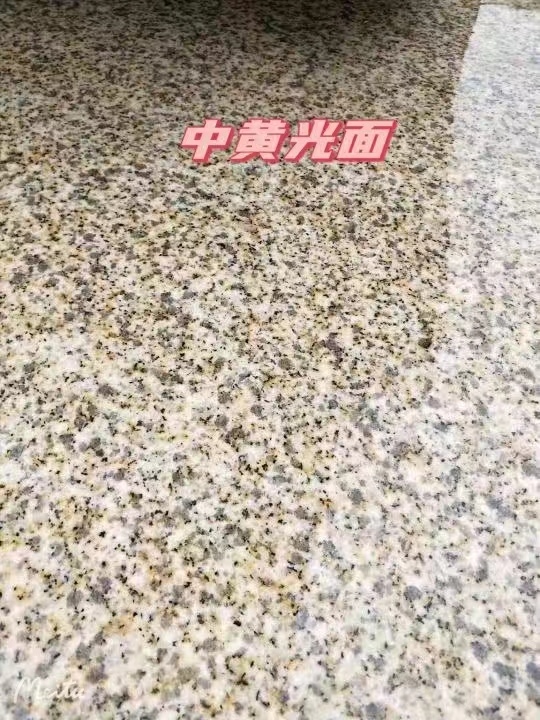 南京黄金麻中黄光面